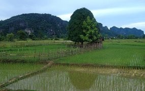 Thailand Takkan Batasi Ekspor Beras